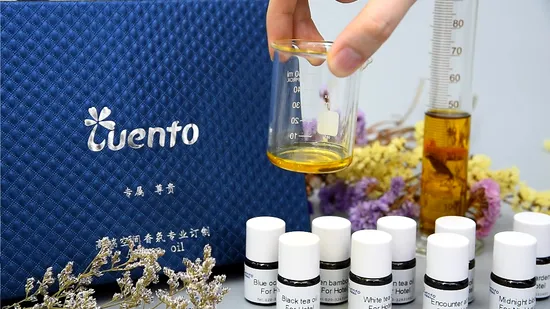 Parfum hautement concentré, parfum d'épices et de citrouille pour la fabrication de bougies